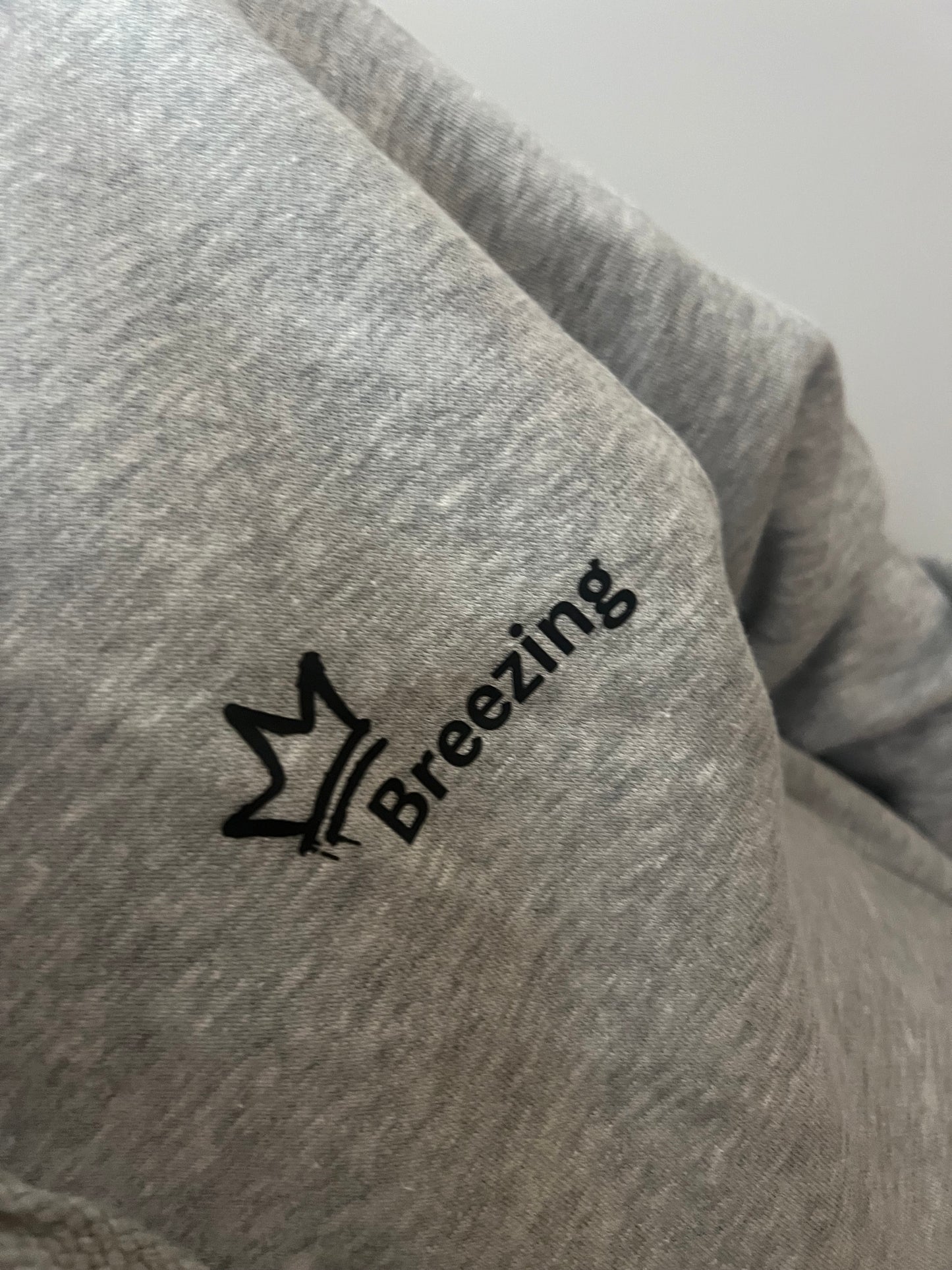 Breezing Grey Hoodie