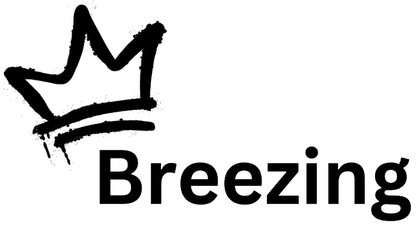 Breezing Black Hoodie